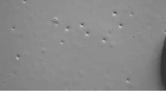 (圖:涂料起泡引起表面缺陷)