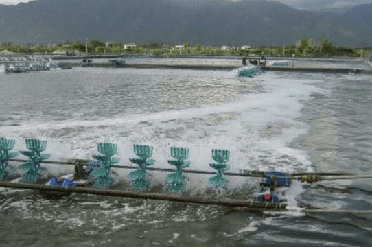 養(yǎng)殖水處理消泡